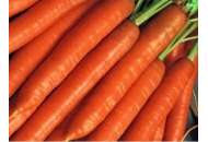 Брилианс F1 – морковь, 100 000 семян (1,6-1,8 мм), Nunhems (Нунемс) Голландия фото, цена